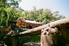 안동만휴정, 만휴정, 한옥, 분위기, 필름사진, 사진,이미지,일러스트,캘리그라피 - 빛을담다작가 크라우드픽 - 저작권 걱정 없는 상업용 이미지