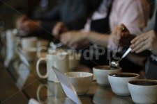 커핑, 커피, cupping, coffee, 스페셜티, 사진,이미지,일러스트,캘리그라피 - Gourmet작가 크라우드픽 - 저작권 걱정 없는 상업용 이미지
