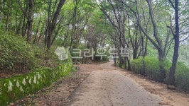 서울둘레길2코스, 용마산등산코스, 산책로, 트래킹코스, nature, 사진,이미지,일러스트,캘리그라피 - 김사장작가 크라우드픽 - 저작권 걱정 없는... 