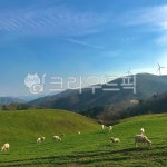 목장, 양떼목장, 들판, 자연, 산, 사진,이미지,일러스트,캘리그라피 - Nbe_coming작가 크라우드픽 - 저작권 걱정 없는 상업용 이미지