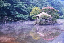 순천, 일일레져타운, 저수지, 물안개, 배롱나무, 사진,이미지,일러스트,캘리그라피 - 영산공작가 크라우드픽 - 저작권 걱정 없는 상업용 이미지
