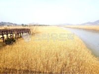 교각, 옥외, 자연, nature, 물, 사진,이미지,일러스트,캘리그라피 - 문군작가 크라우드픽 - 저작권 걱정 없는 상업용 이미지