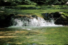 물, 흐르는, 계곡, 계곡물, 맑은물, 사진,이미지,일러스트,캘리그라피 - fresh air작가 크라우드픽 - 저작권 걱정 없는 상업용 이미지