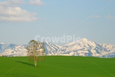 풍경, 자연, 언덕, 들판, 초원, 사진,이미지,일러스트,캘리그라피 - 프리이미지작가 크라우드픽 - 저작권 걱정 없는 상업용 이미지