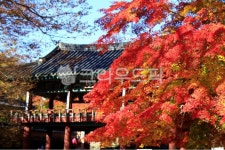 내장사, 내장산, 자연, 계절, 국립공원, 사진,이미지,일러스트,캘리그라피 - 헬로짱작가 크라우드픽 - 저작권 걱정 없는 상업용 이미지