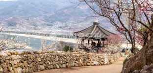 담장, 돌담길, 전망대, 농원, 청매실농원, 사진,이미지,일러스트,캘리그라피 - 서은작가 크라우드픽 - 저작권 걱정 없는 상업용 이미지