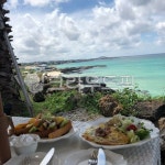 옥외, outdoors, 야쟈수, 야자나무, 바다, 사진,이미지,일러스트,캘리그라피 - 푸른보라작가 크라우드픽 - 저작권 걱정 없는 상업용 이미지