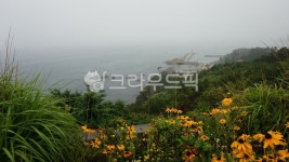 flower, 꽃, nature, 자연, outdoors, 사진,이미지,일러스트,캘리그라피 - 태백연탄재작가 크라우드픽 - 저작권 걱정 없는 상업용 이미지