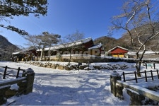 nature, outdoors, 옥외, 자연, 장성, 사진,이미지,일러스트,캘리그라피 - 영산공작가 크라우드픽 - 저작권 걱정 없는 상업용 이미지