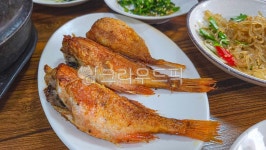 생선구이, 열기생선, food, 음식, 푸드, 사진,이미지,일러스트,캘리그라피 - 먹스타 킹콩작가 크라우드픽 - 저작권 걱정 없는 상업용 이미지