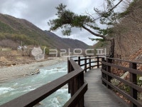 자연, 다리, 산책로, bridge, 둘레길, 사진,이미지,일러스트,캘리그라피 - Nseohi82작가 크라우드픽 - 저작권 걱정 없는 상업용 이미지