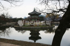nature, 자연, outdoors, 옥외, pond, 사진,이미지,일러스트,캘리그라피 - bonbon작가 크라우드픽 - 저작권 걱정 없는 상업용 이미지