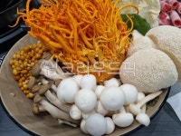 음식, food, 버섯, 황금버섯, 노루궁뎅이버섯, 사진,이미지,일러스트,캘리그라피 - 작가 DREAM작가 크라우드픽 - 저작권 걱정 없는 상업용 이미지
