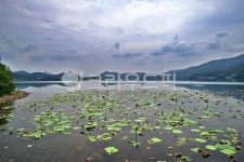 다산생태공원, 남양주, 수변공원, 팔당호, 전원, 사진,이미지,일러스트,캘리그라피 - Deep bLUE작가 크라우드픽 - 저작권 걱정 없는 상업용 이미지