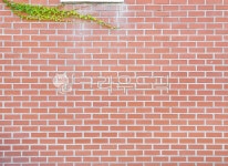 brick, 벽돌, wall, 벽, 담벼락, 사진,이미지,일러스트,캘리그라피 - 작은쉼표작가 크라우드픽 - 저작권 걱정 없는 상업용 이미지