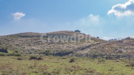 용눈이, 용눈이오름, 오름, orum, jeju, 사진,이미지,일러스트,캘리그라피 - 인추라기작가 크라우드픽 - 저작권 걱정 없는 상업용 이미지