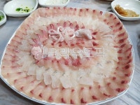 회, food, 플레이팅, 부시리, 묵은지, 사진,이미지,일러스트,캘리그라피 - 쇼롱작가 크라우드픽 - 저작권 걱정 없는 상업용 이미지