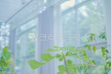 온실, 화원, 초록, 감성, 분위기, 사진,이미지,일러스트,캘리그라피 - 후니88작가 크라우드픽 - 저작권 걱정 없는 상업용 이미지