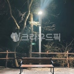 bench, 벤치, 가로등, 나무, 야경, 사진,이미지,일러스트,캘리그라피 - daol작가 크라우드픽 - 저작권 걱정 없는 상업용 이미지