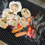 seashell, 조개, sealife, 해양생물, invertebrate, 사진,이미지,일러스트,캘리그라피 - 하씨작가 크라우드픽 - 저작권 걱정 없는 상업용... 