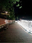 덕수궁, 돌담길, 덕수궁돌담길, 길, 야간길, 사진,이미지,일러스트,캘리그라피 - 한장작가 크라우드픽 - 저작권 걱정 없는 상업용 이미지