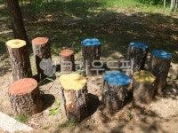 tree, 나무, treestump, 그루터기, 의자, 사진,이미지,일러스트,캘리그라피 - 영수길작가 크라우드픽 - 저작권 걱정 없는 상업용 이미지