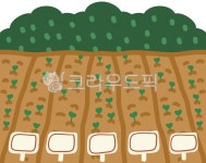 밭, 농장, 농장체험, 밭농사, 농사, 사진,이미지,일러스트,캘리그라피 - newzing작가 크라우드픽 - 저작권 걱정 없는 상업용 이미지