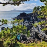 제주도, 바다, 주상절리, 소나무, 숲, 사진,이미지,일러스트,캘리그라피 - Roha Da작가 크라우드픽 - 저작권 걱정 없는 상업용 이미지