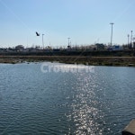 왕숙천, 새, 자연, 산책, 낮, 사진,이미지,일러스트,캘리그라피 - 상숙씨작가 크라우드픽 - 저작권 걱정 없는 상업용 이미지