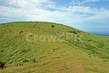 제주도, 용눈이, 오름, 용눈이오름, 정상, 사진,이미지,일러스트,캘리그라피 - Nbixelcali작가 크라우드픽 - 저작권 걱정 없는 상업용 이미지