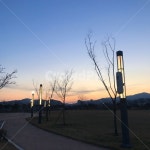 노을, 가로수길, 산책, 하늘, sunset, 사진,이미지,일러스트,캘리그라피 - borninnov작가 크라우드픽 - 저작권 걱정 없는 상업용 이미지