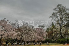 서울, 광진구, 능동, 공원, 테마파크, 사진,이미지,일러스트,캘리그라피 - imlover작가 크라우드픽 - 저작권 걱정 없는 상업용 이미지