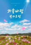 가을, 감성, 캘리, 코스모스, 하늘, 사진,이미지,일러스트,캘리그라피 - DAWOOL작가 크라우드픽 - 저작권 걱정 없는 상업용 이미지