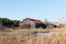 소래습지생태공원, 소금창고, 갈대, 창고, 건물, 사진,이미지,일러스트,캘리그라피 - 함께사는세상작가 크라우드픽 - 저작권 걱정 없는 상업용 이미지