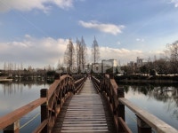 연지공원, 김해, 김해연지공원, 김해공원, 맑음, 사진,이미지,일러스트,캘리그라피 - Nbagopa169cm작가 크라우드픽 - 저작권 걱정 없는 상업용... 