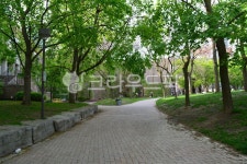 공원길, 보도, 통로, sidewalk, walway, 사진,이미지,일러스트,캘리그라피 - JHSARAH작가 크라우드픽 - 저작권 걱정 없는 상업용 이미지