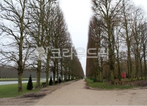 식물, tree, 나무, 파리, 베르사유궁전, 사진,이미지,일러스트,캘리그라피 - 규리규리작가 크라우드픽 - 저작권 걱정 없는 상업용 이미지