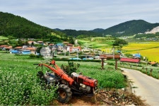 field, 들, farm, 농장, rural, 사진,이미지,일러스트,캘리그라피 - 영산공작가 크라우드픽 - 저작권 걱정 없는 상업용 이미지