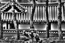 한옥, 소나무, 옛날집, 집, 하우스, 사진,이미지,일러스트,캘리그라피 - 하늬바람작가 크라우드픽 - 저작권 걱정 없는 상업용 이미지