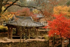 한국, 담양, 정자, 소쇄원, 가을, 사진,이미지,일러스트,캘리그라피 - irum작가 크라우드픽 - 저작권 걱정 없는 상업용 이미지