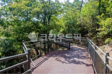 boardwalk, 산책로, nature, 자연, outdoors, 사진,이미지,일러스트,캘리그라피 - studio H작가 크라우드픽 - 저작권 걱정 없는 상업용... 