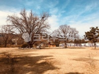 ground, 바닥, 종로구, 나무, 하늘, 사진,이미지,일러스트,캘리그라피 - mihim작가 크라우드픽 - 저작권 걱정 없는 상업용 이미지