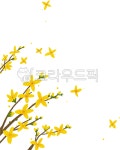 flower, 꽃, daffodil, petal, 꽃잎, 사진,이미지,일러스트,캘리그라피 - 나날디자인작가 크라우드픽 - 저작권 걱정 없는 상업용 이미지