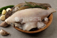 가자미, 생선, 어류, 해산물, 해물, 사진,이미지,일러스트,캘리그라피 - Ntjdals2245작가 크라우드픽 - 저작권 걱정 없는 상업용 이미지
