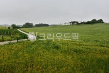 farm, 농장, rural, 농촌, field, 사진,이미지,일러스트,캘리그라피 - 영산공작가 크라우드픽 - 저작권 걱정 없는 상업용 이미지