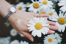 wristwatch, 손목시계, 인간, human, 사람, 사진,이미지,일러스트,캘리그라피 - 시흥갈매기작가 크라우드픽 - 저작권 걱정 없는 상업용 이미지