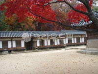 창덕궁, 연경당, 한옥, 전통가옥, 가을단풍, 사진,이미지,일러스트,캘리그라피 - bedro작가 크라우드픽 - 저작권 걱정 없는 상업용 이미지