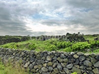 제주, 올레19코스, 올레길, 조천농로, 돌담, 사진,이미지,일러스트,캘리그라피 - Deep bLUE작가 크라우드픽 - 저작권 걱정 없는 상업용 이미지