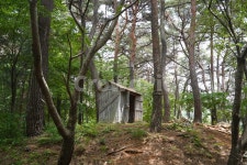 아홉산, 오두막, 숲속, 나무, 산림, 사진,이미지,일러스트,캘리그라피 - Nsrevenger작가 크라우드픽 - 저작권 걱정 없는 상업용 이미지