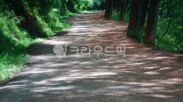 길, nature, 자연, 황토길, 나무, 사진,이미지,일러스트,캘리그라피 - Nimnews155작가 크라우드픽 - 저작권 걱정 없는 상업용 이미지